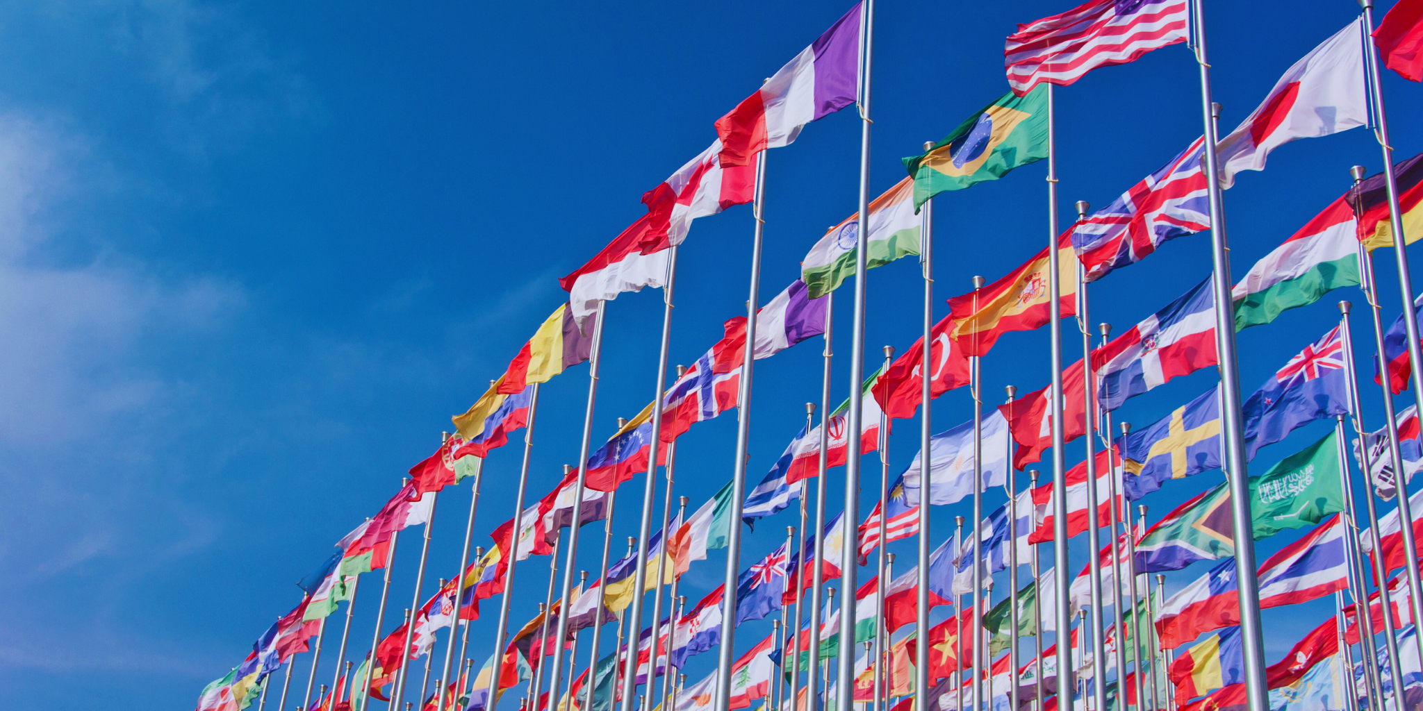 Premium country flags collection from 195+ nations — outdoor, indoor, desk, and bunting variants by Asya Bayrak