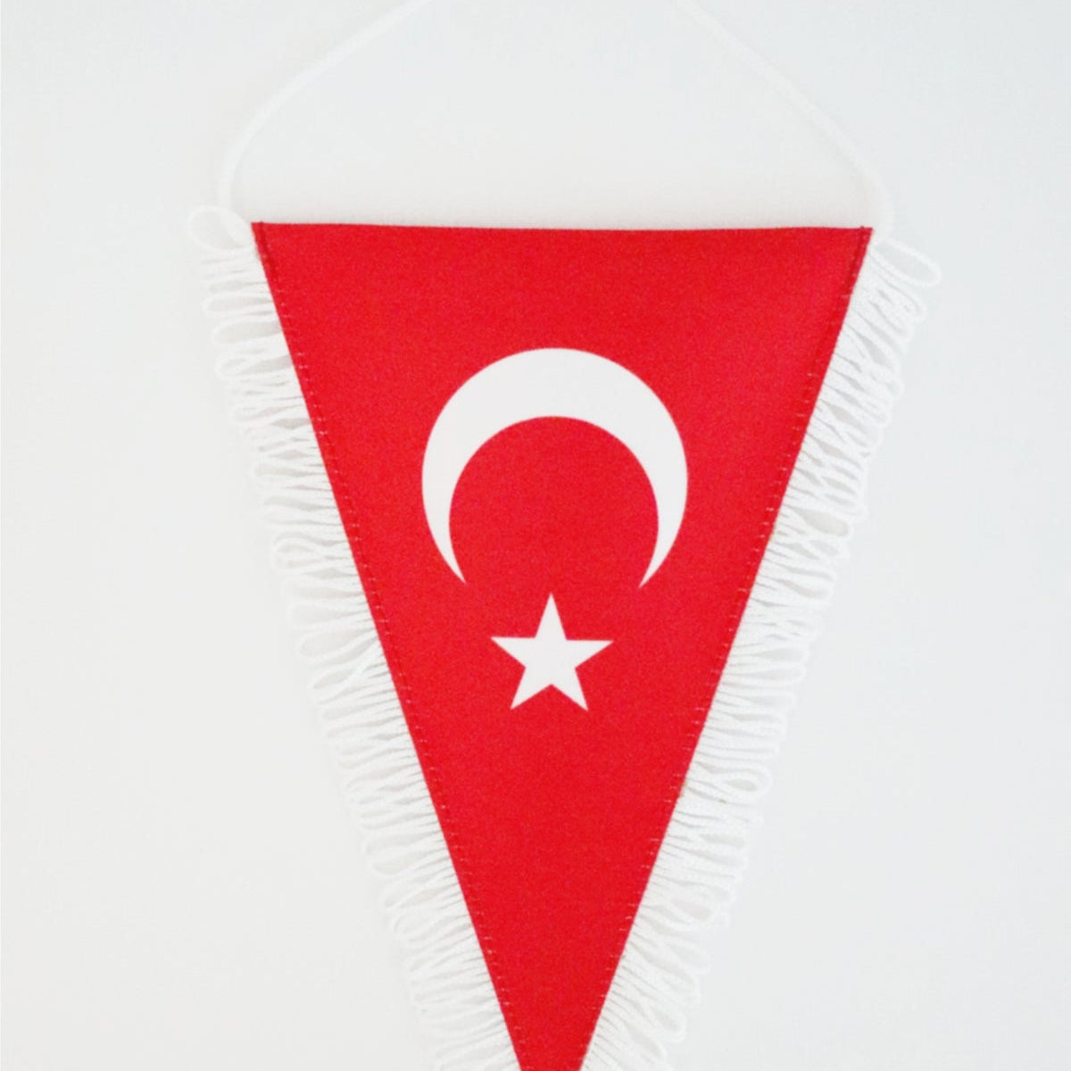 Turkish Ceremonial Fringed Satin Pennant — institutional wall display (8)