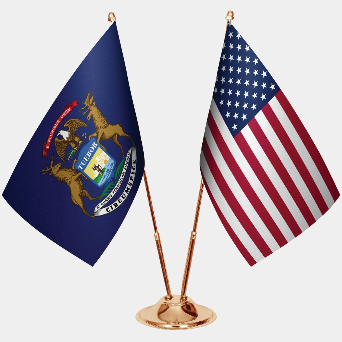 Michigan ve ABD Masa Bayrağı Seti