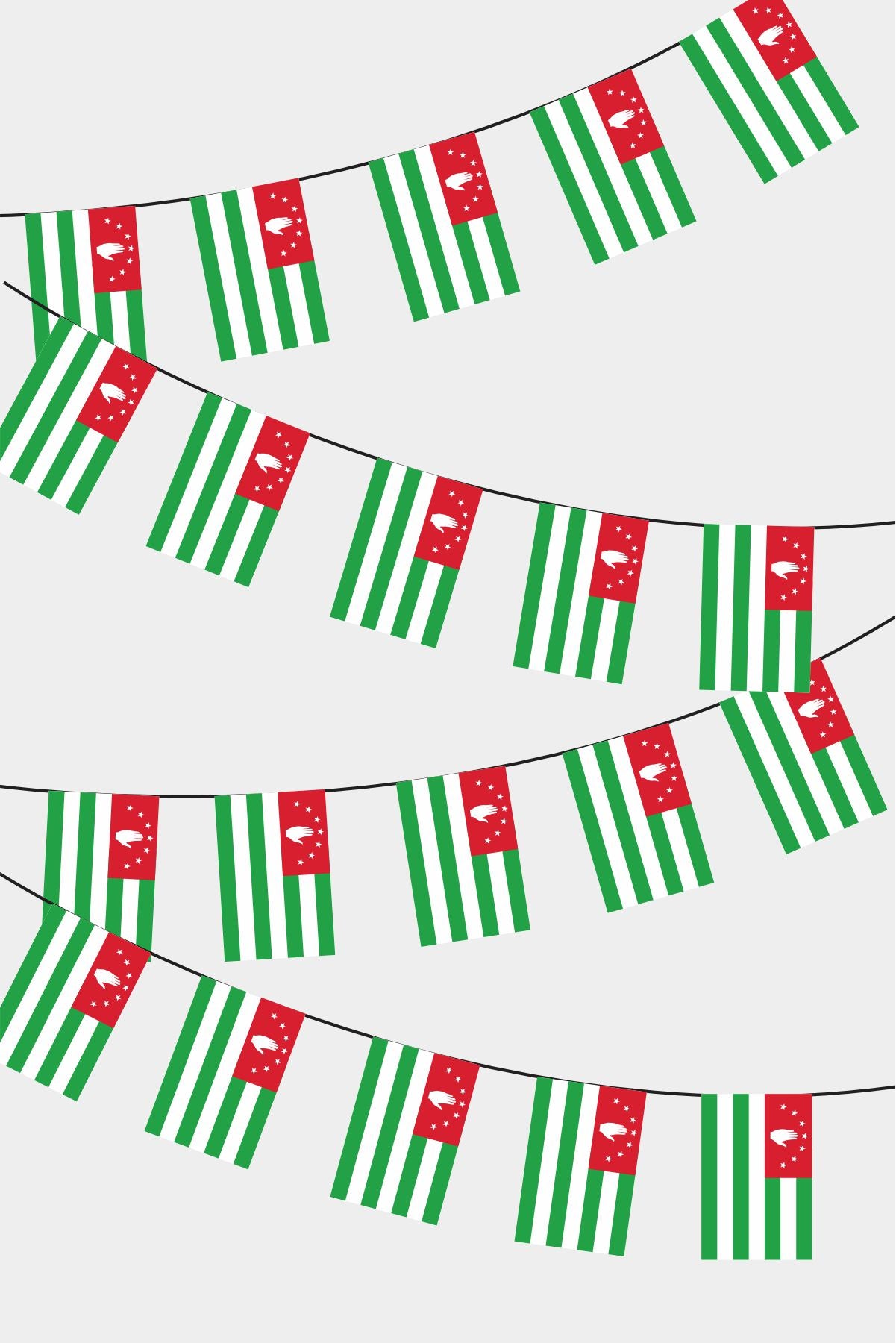 Abkhazia Rectangular Flag Bunting - 50 Meters Premium String Flags for Party Decoration | Professional Quality Raschel Fabric