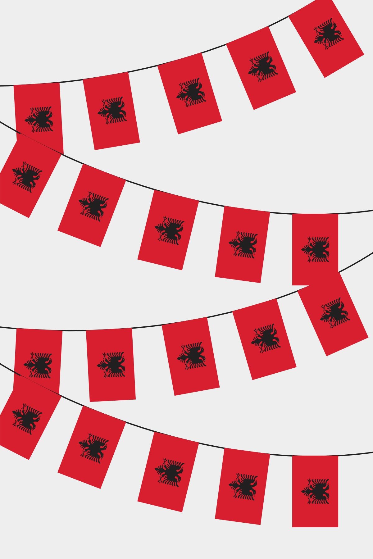 Albania Rectangular Flag Bunting - 50 Meters Premium String Flags for Party Decoration | Professional Quality Raschel Fabric