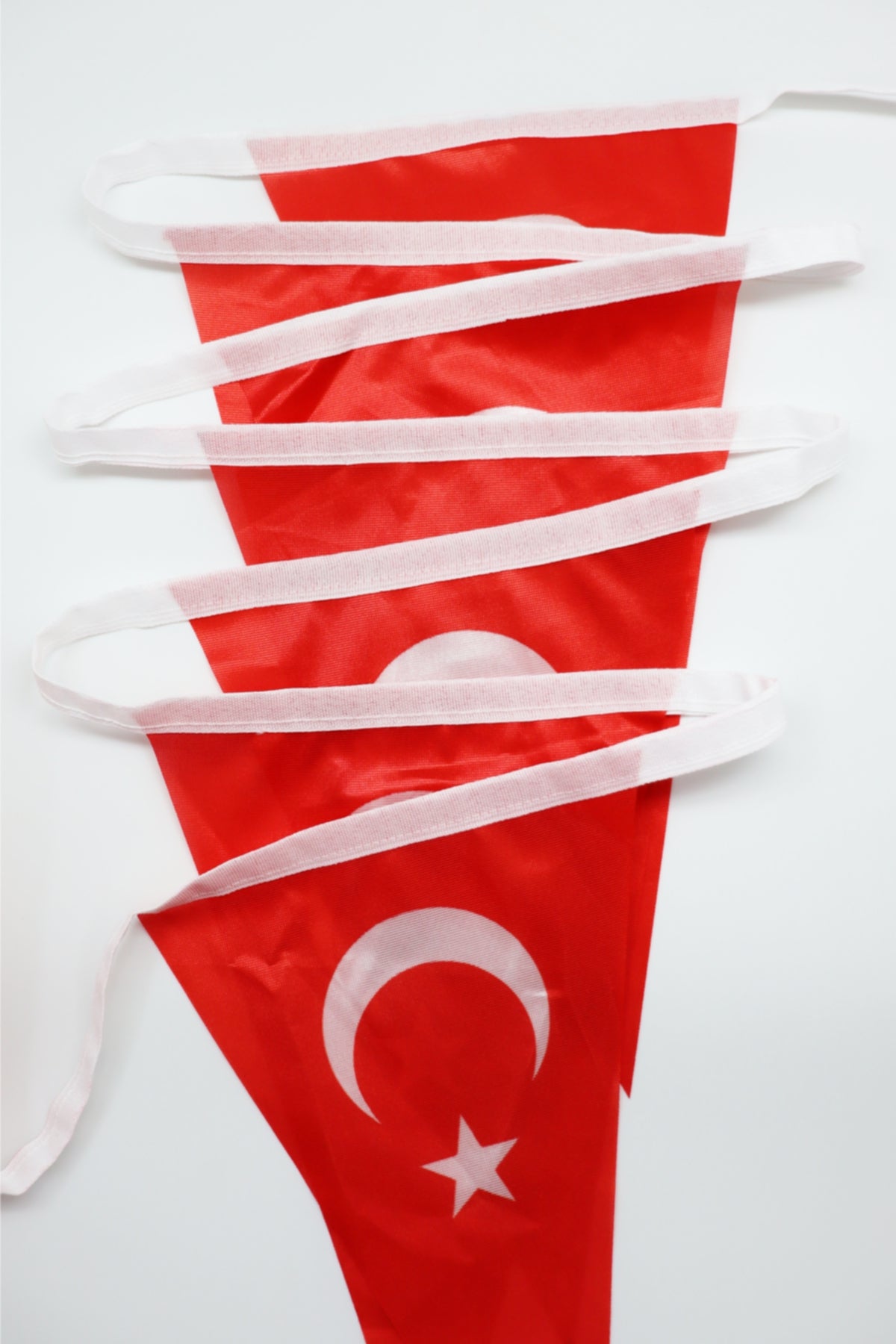 Triangular Flag Bunting Detail - Digital Print Color Quality