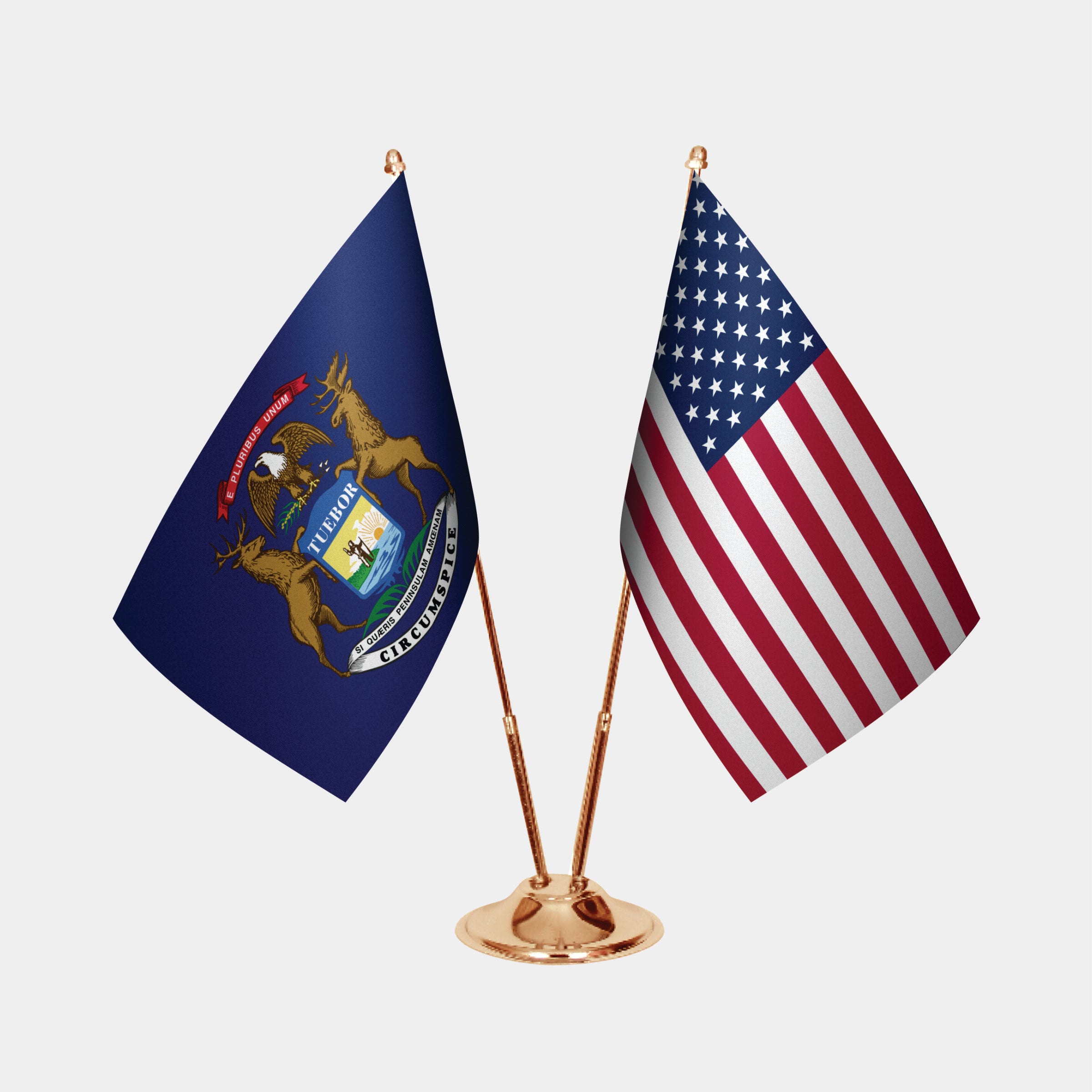 Michigan & U.S. Desk Flag Set