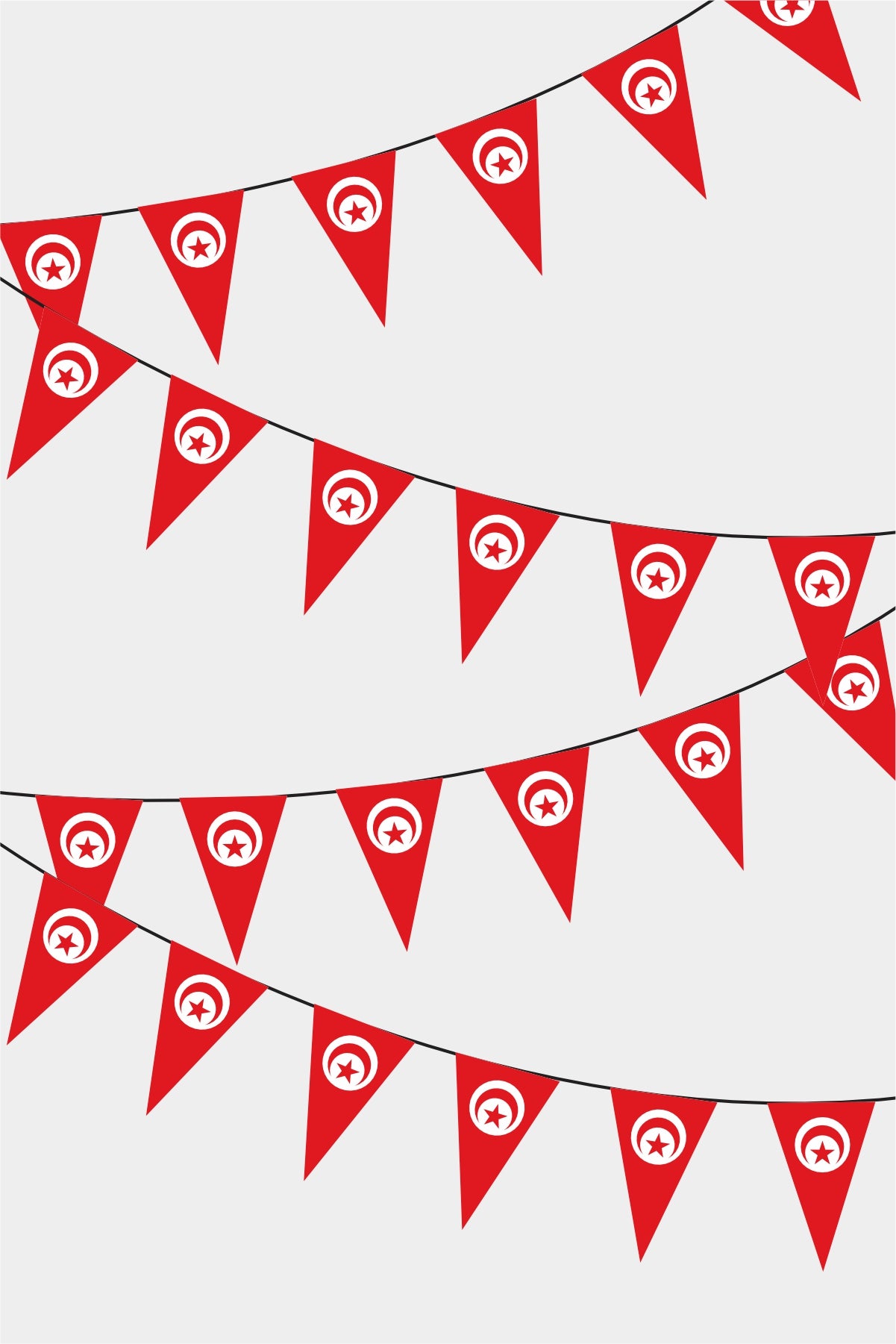 Tunisian Triangular Flag Bunting - 50 Meters Premium Pennant Flags for Party Decoration | Professional Quality Raschel Fabric