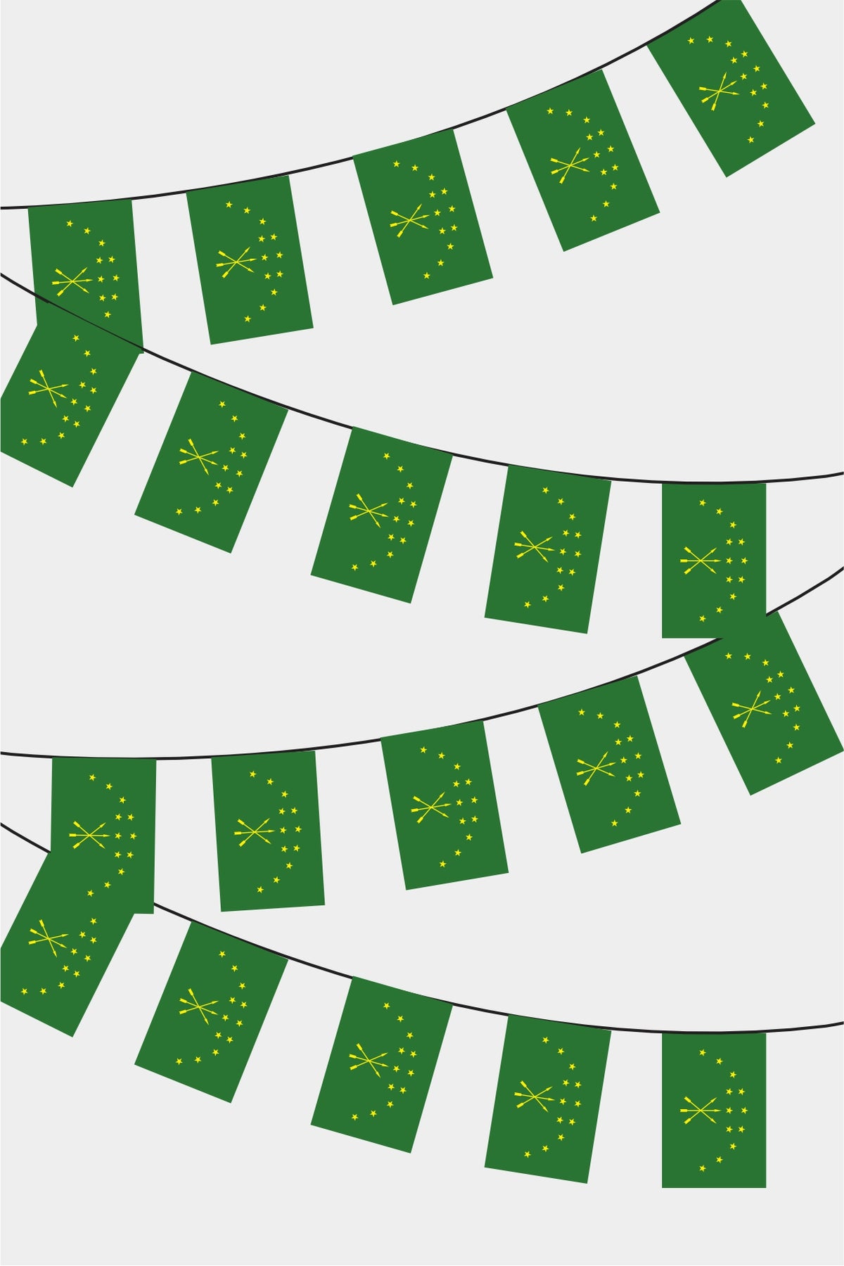 Guirlande de drapeaux rectangulaires de l'Adyguée 50 m
