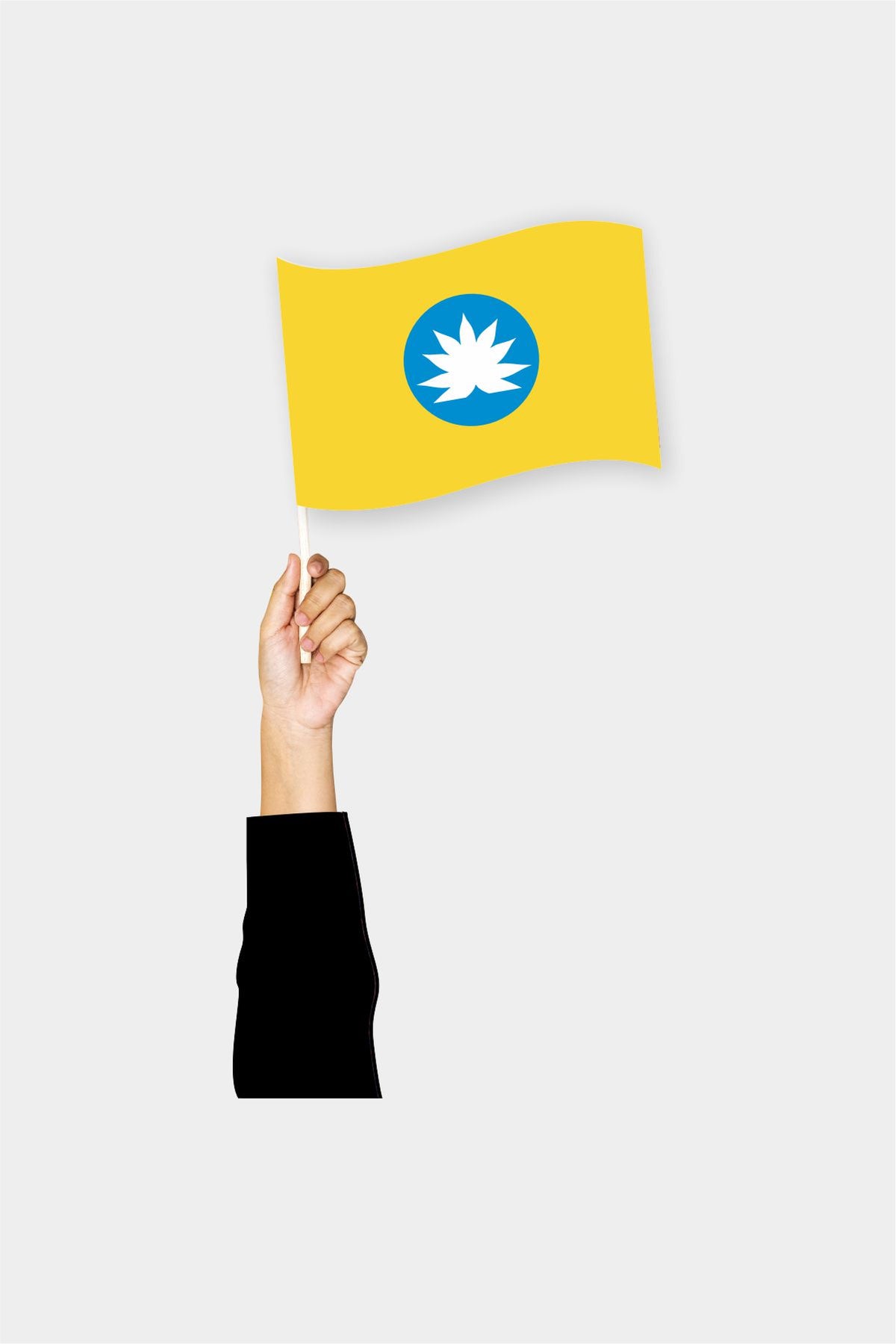 Drapeau de poche de la Kalmoukie