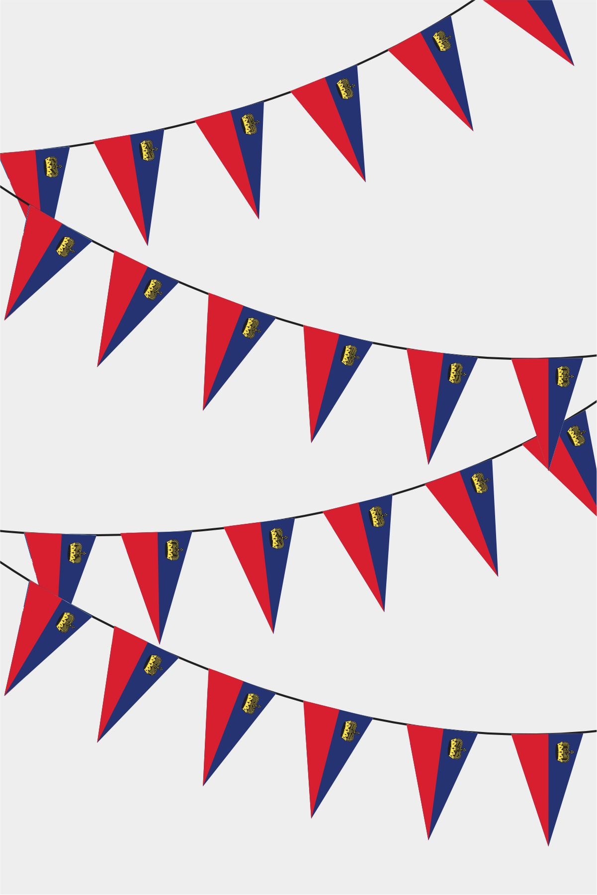 Liechtenstein Triangular Flag Bunting - 50 Meters Premium Pennant Flags for Party Decoration | Professional Quality Raschel Fabric