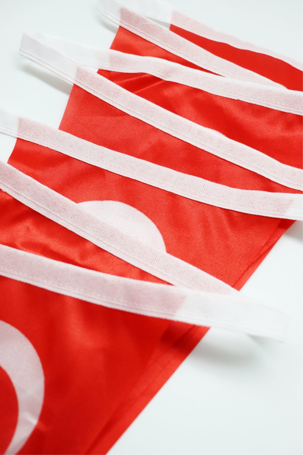 United Nations Triangular Flag Bunting