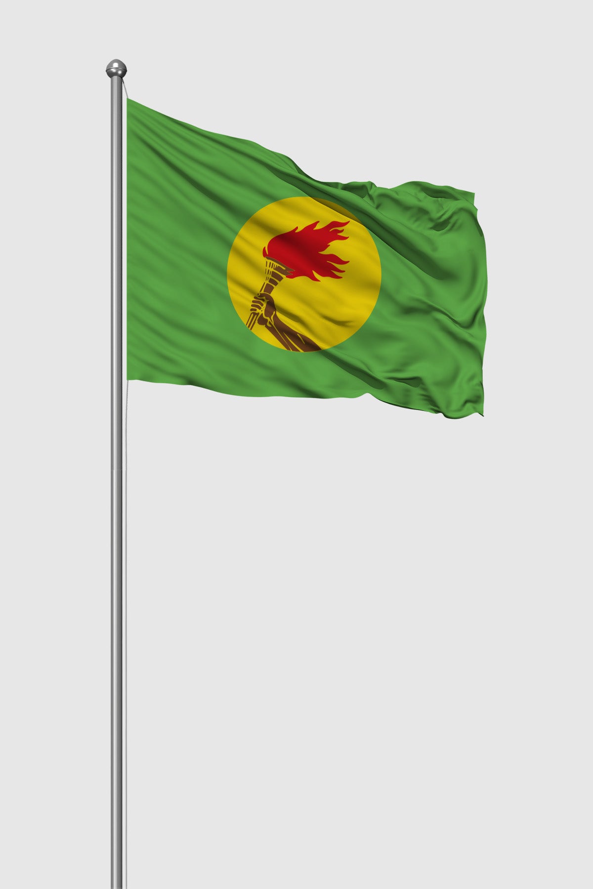 Drapeau extérieur du Zaïre