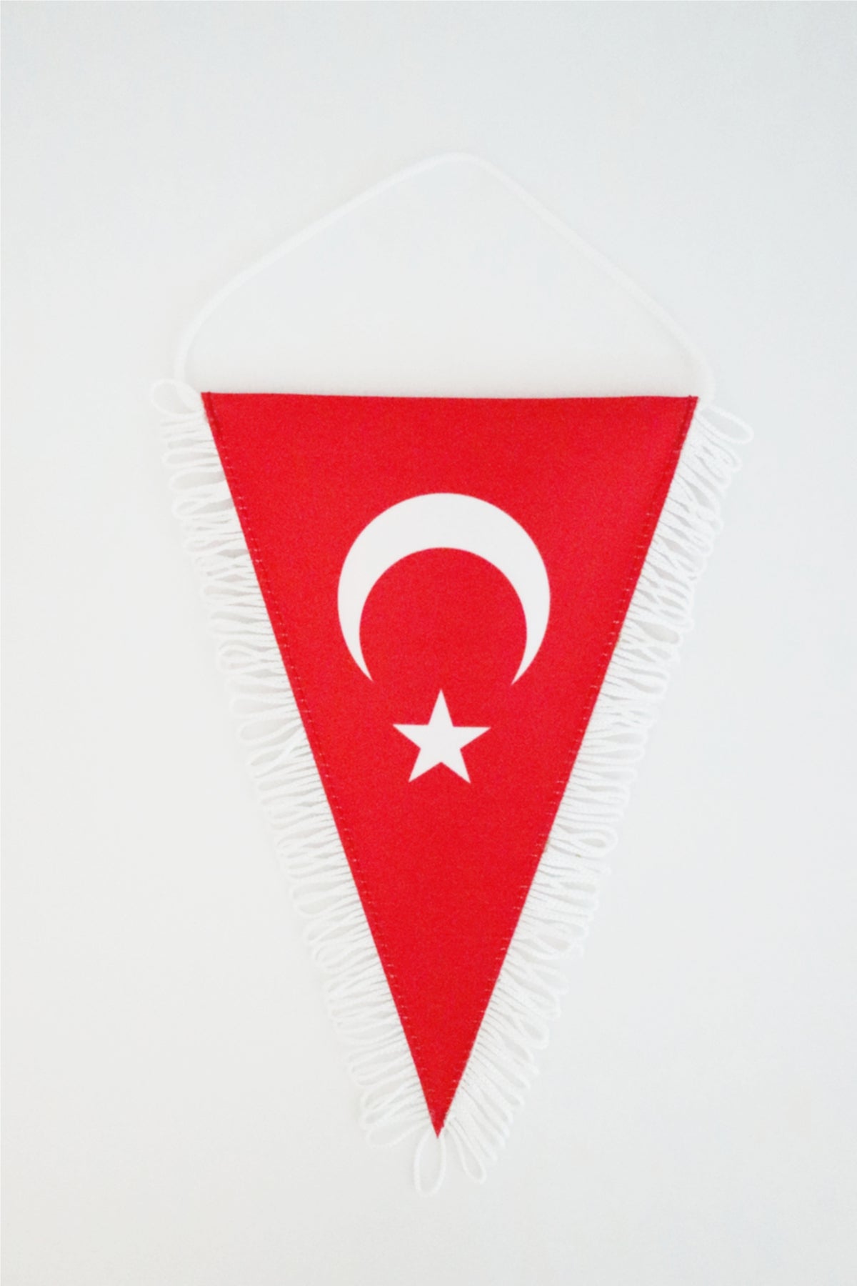 Turkish Ceremonial Fringed Satin Pennant — institutional wall display (8)