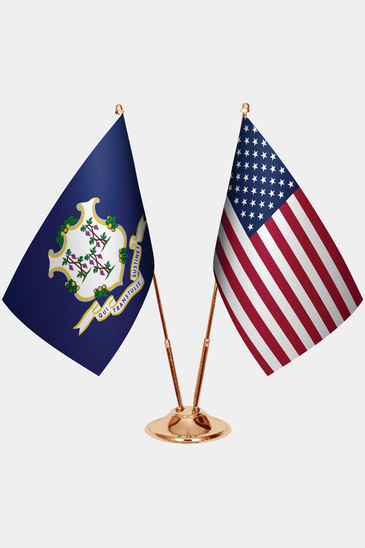 Connecticut ve ABD Masa Bayrağı Seti