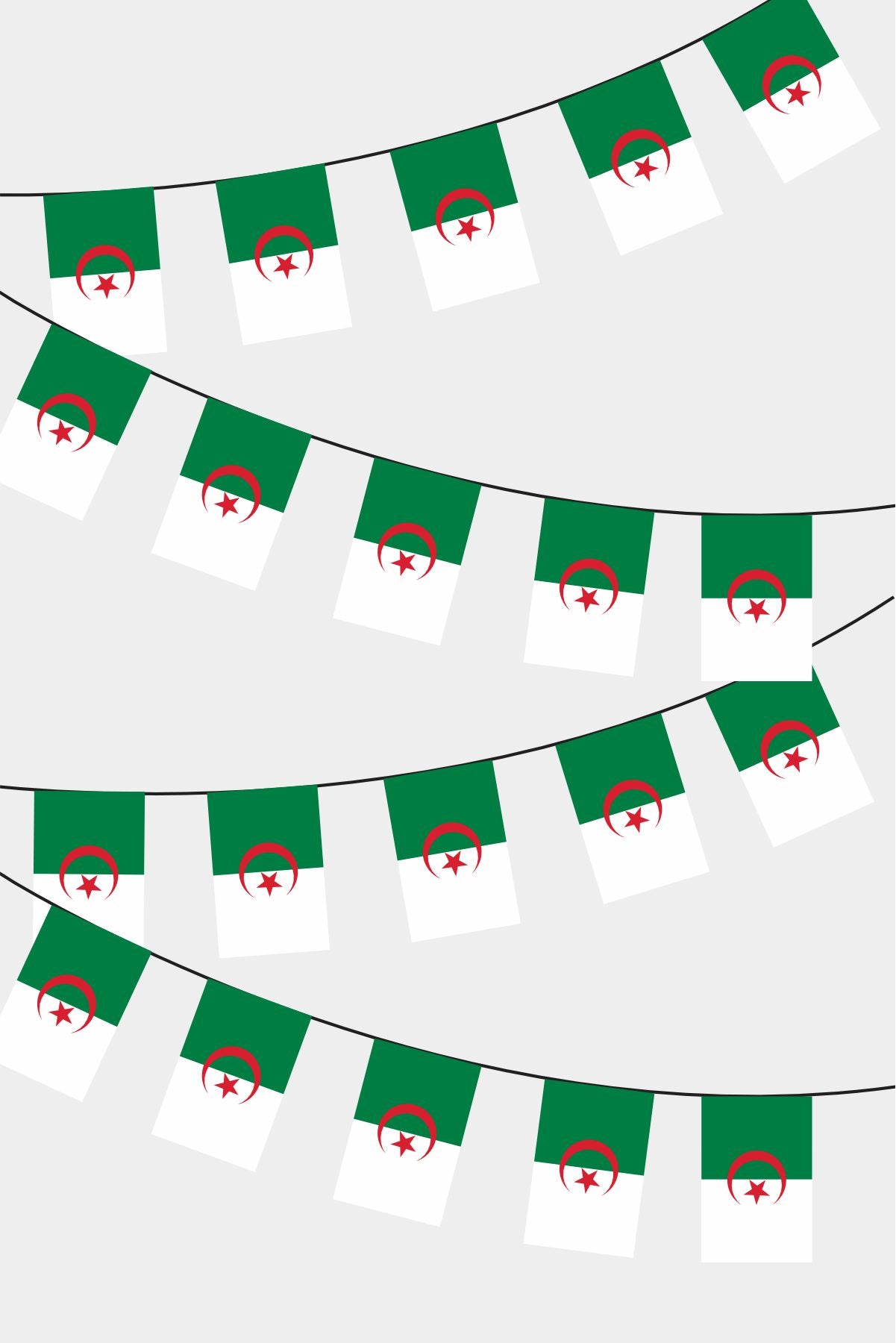 Algeria Rectangular Flag Bunting - 50 Meters Premium String Flags for Party Decoration | Professional Quality Raschel Fabric