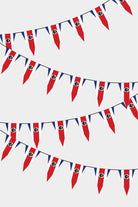 Costa Rica Triangular Flag Bunting - 50 Meters Premium Pennant Flags for Party Decoration | Professional Quality Raschel Fabric