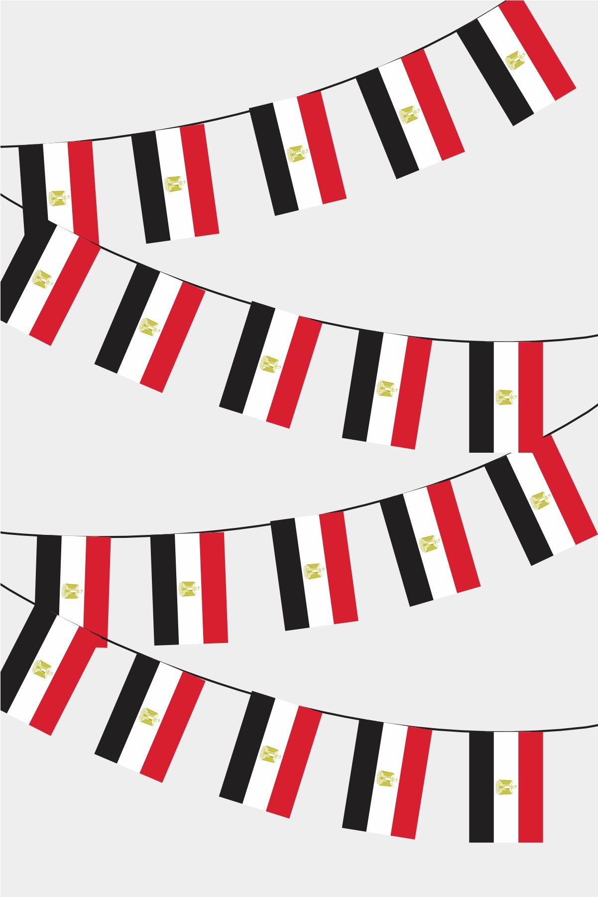 Egypt Rectangular Flag Bunting - 50 Meters Premium String Flags for Party Decoration | Professional Quality Raschel Fabric