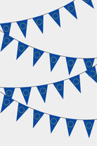 European Union Triangular Flag Bunting - 50 Meters Premium Pennant Flags for Party Decoration | Professional Quality Raschel Fabric