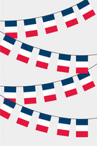 France Rectangular Flag Bunting - 50 Meters Premium String Flags for Party Decoration | Professional Quality Raschel Fabric