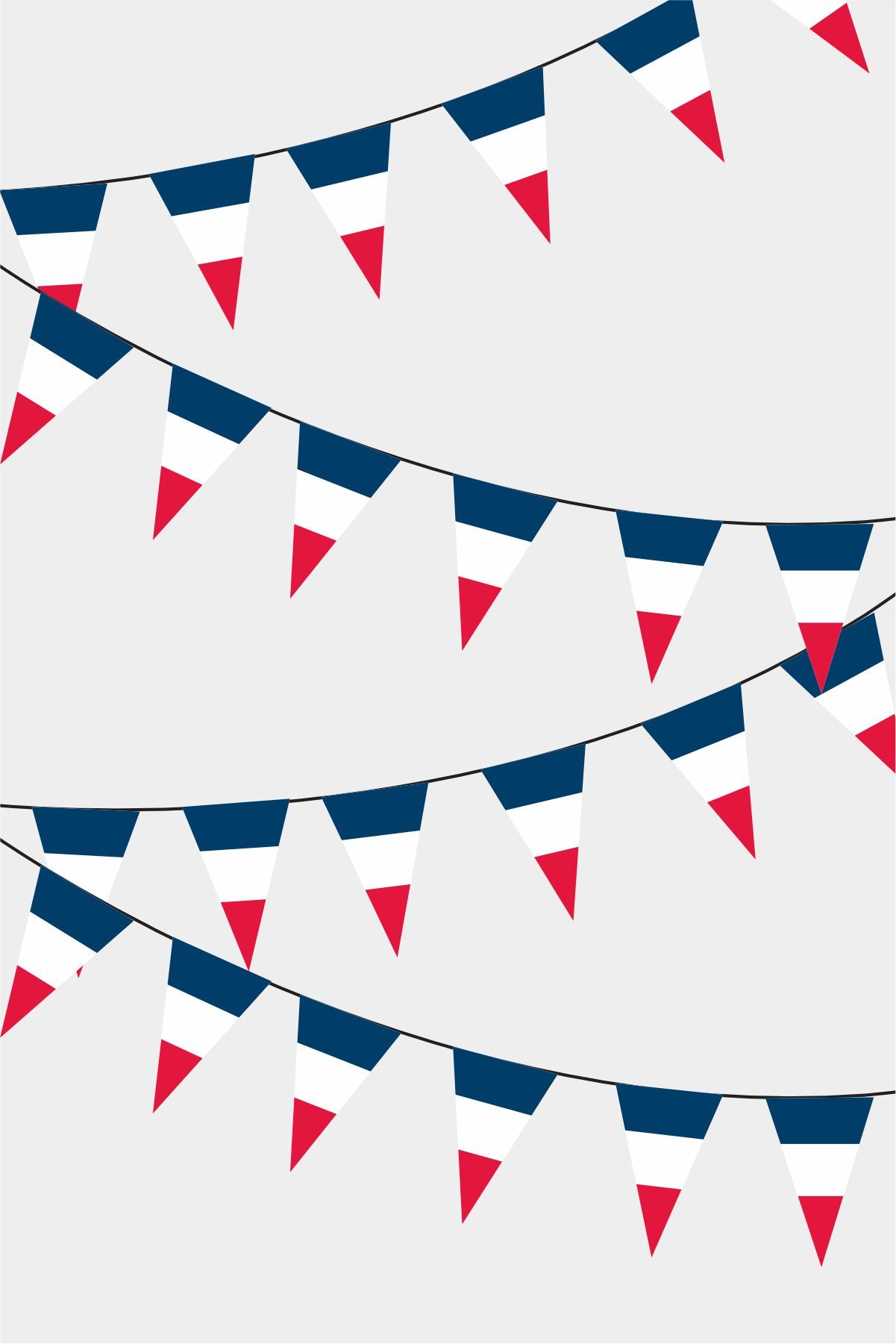 France Triangular Flag Bunting - 50 Meters Premium Pennant Flags for Party Decoration | Professional Quality Raschel Fabric