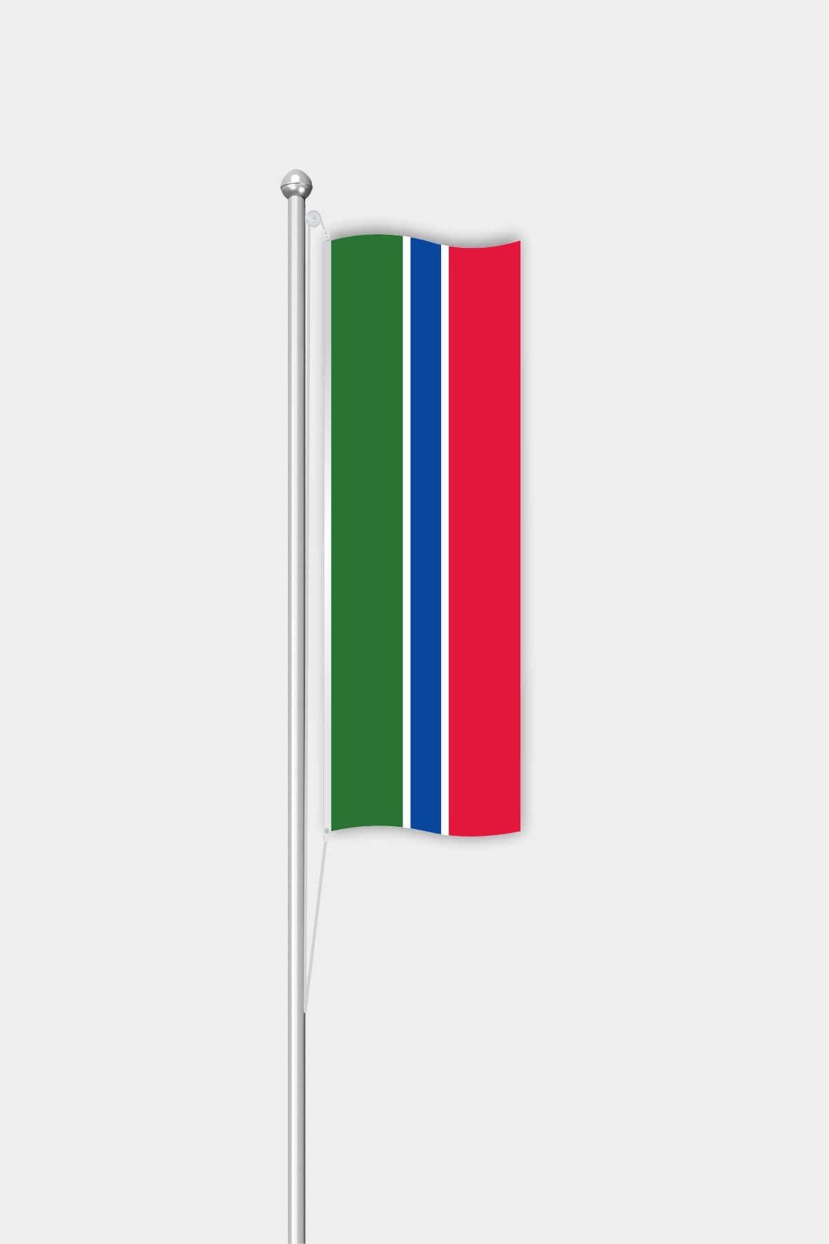 Outdoor Vertical Gambia Flag — Polyester