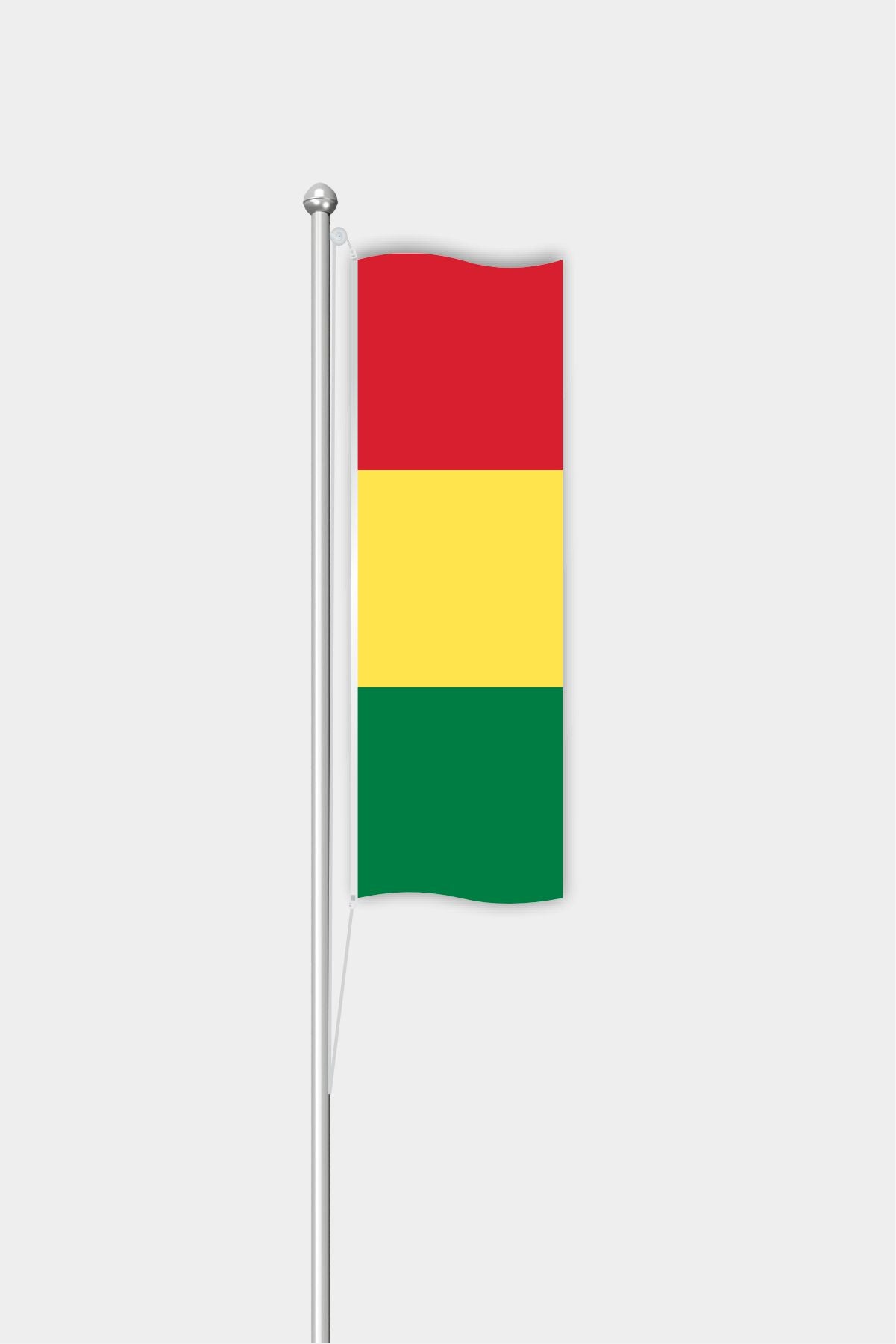 Outdoor Vertical Guinea Flag — Polyester