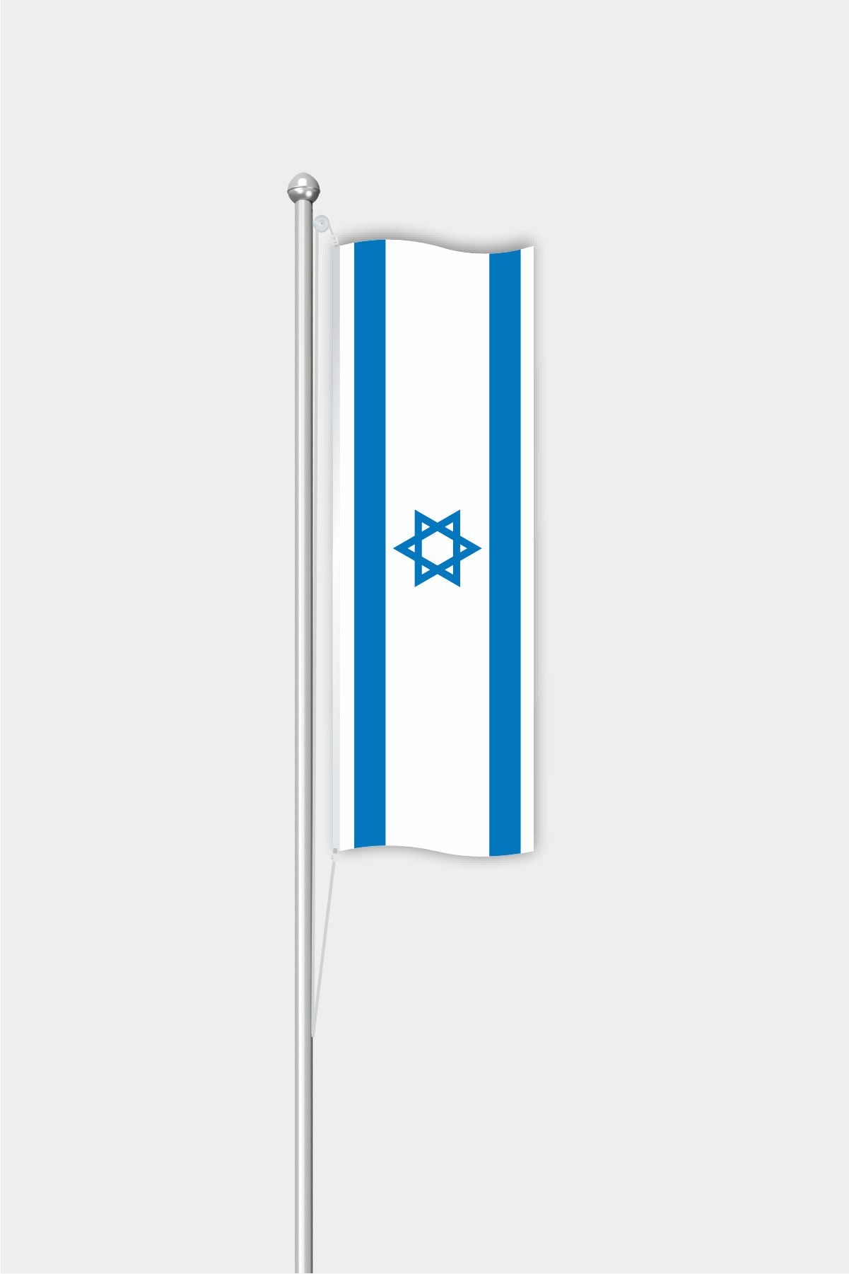 Outdoor Vertical Israel Flag — Polyester