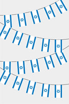 Israel Rectangular Flag Bunting - 50 Meters Premium String Flags for Party Decoration | Professional Quality Raschel Fabric