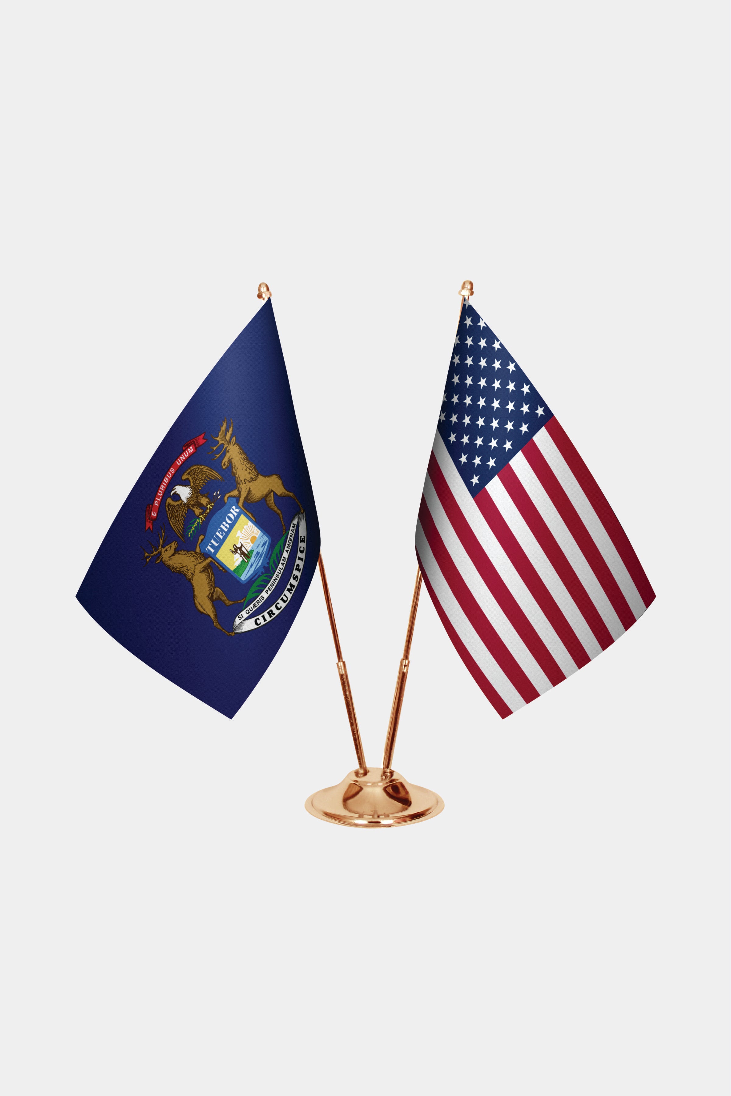 Michigan & U.S. Desk Flag Set