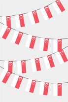 Singapore Rectangular Flag Bunting - 50 Meters Premium String Flags for Party Decoration | Professional Quality Raschel Fabric