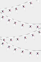South Korea Triangular Flag Bunting - 50 Meters Premium Pennant Flags for Party Decoration | Professional Quality Raschel Fabric