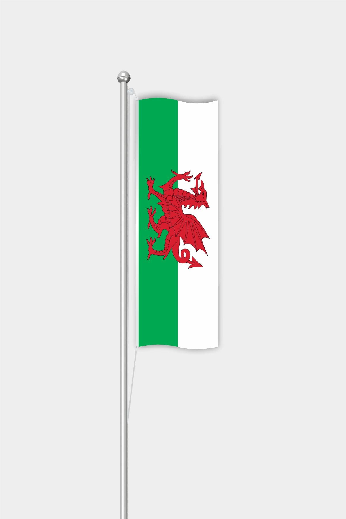 Outdoor Vertical Wales Flag — Polyester