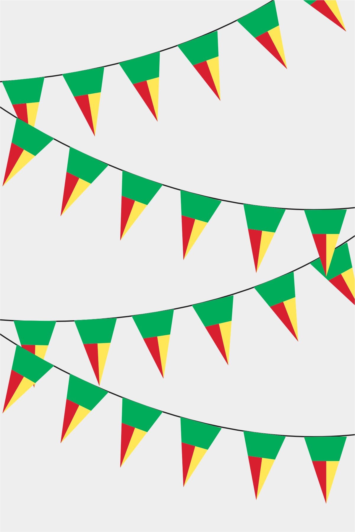 Benin Triangular Flag Bunting - 50 Meters Premium Pennant Flags for Party Decoration | Professional Quality Raschel Fabric