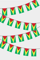 Guyana Rectangular Flag Bunting - 50 Meters Premium String Flags for Party Decoration | Professional Quality Raschel Fabric