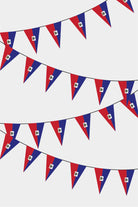 Haiti Triangular Flag Bunting - 50 Meters Premium Pennant Flags for Party Decoration | Professional Quality Raschel Fabric