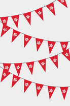 Hong Kong Triangular Flag Bunting - 50 Meters Premium Pennant Flags for Party Decoration | Professional Quality Raschel Fabric