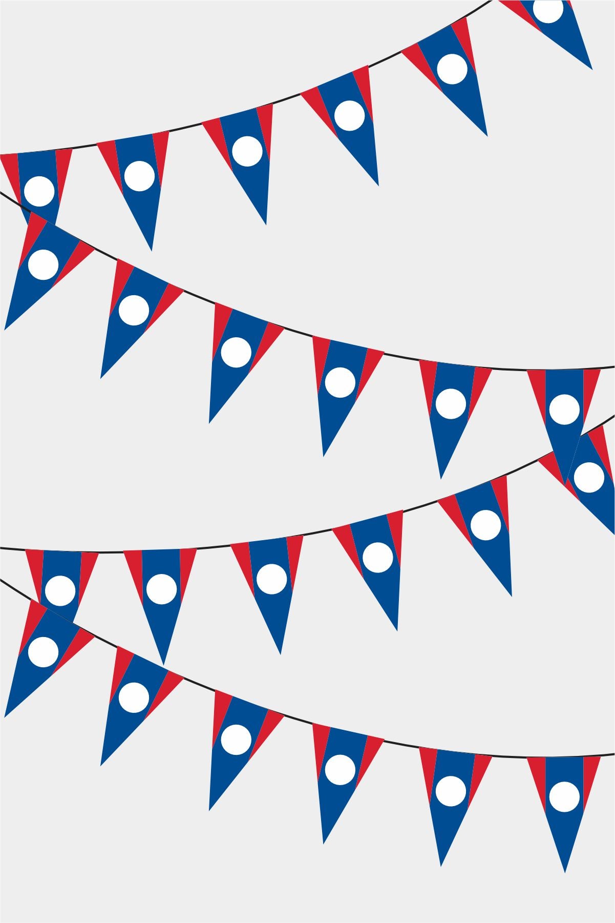 Laos Triangular Flag Bunting - 50 Meters Premium Pennant Flags for Party Decoration | Professional Quality Raschel Fabric