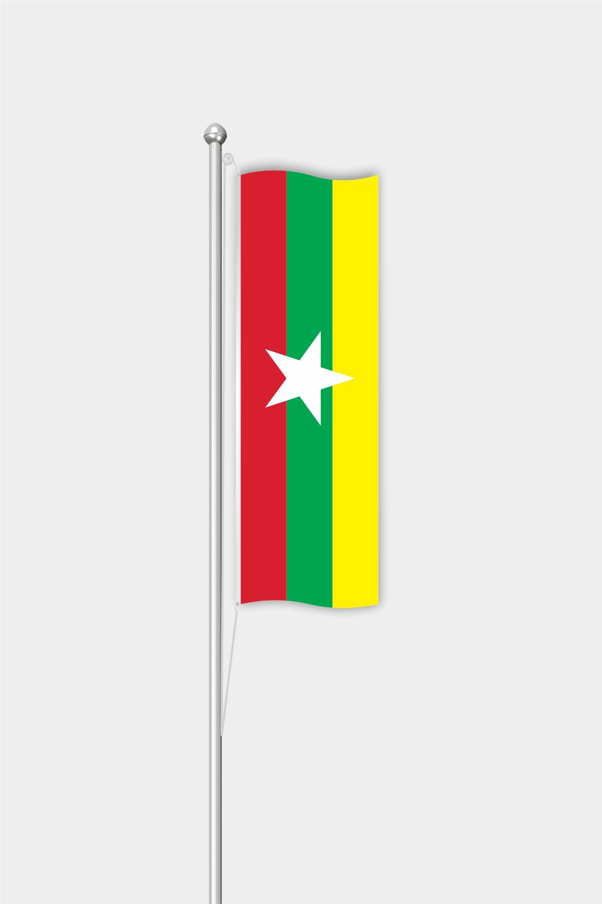 Outdoor Vertical Myanmar Flag — Polyester