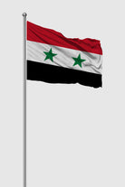 Drapeau extérieur de la Syrie (1980–2024)