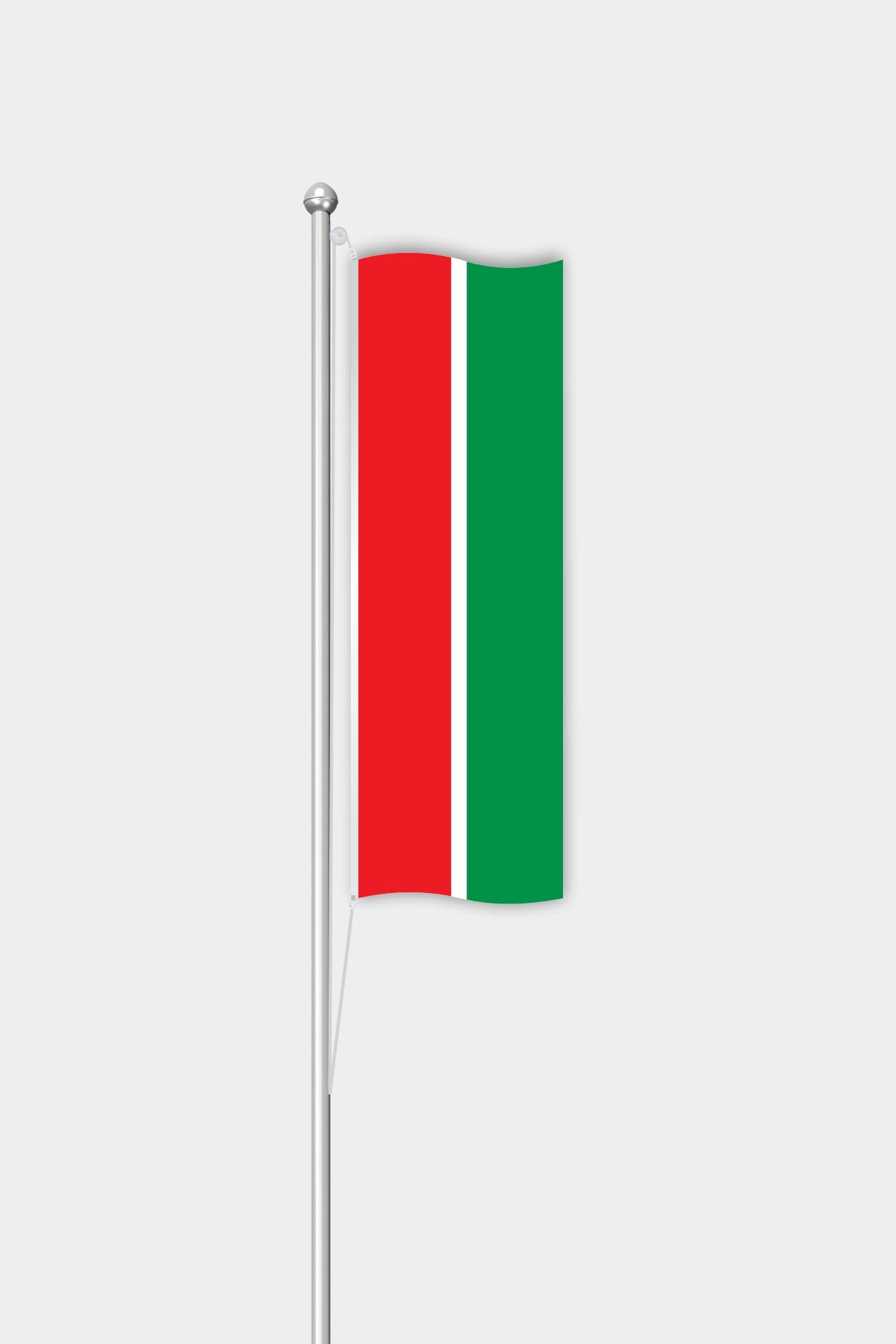 Drapeau vertical du Tatarstan pour l'extérieur