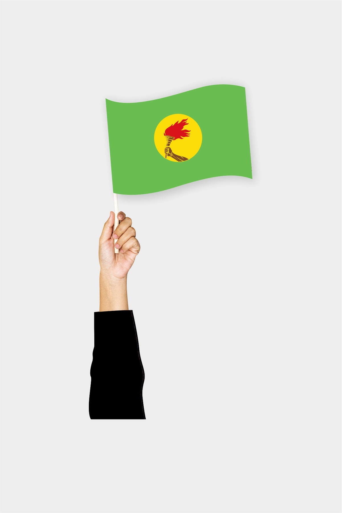 Zaire handheld flag on stick - durable polyester country flag for events and parades