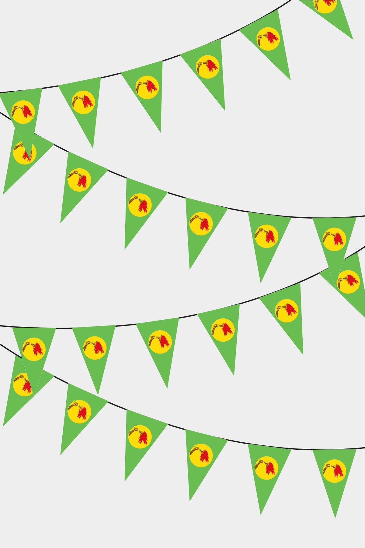 Guirlande de drapeaux triangulaires du Zaïre 50 m